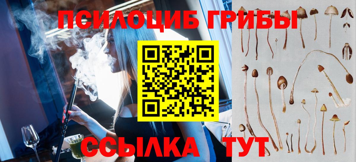 Псилоцибиновые грибы GOLDEN TEACHER Елабуга
